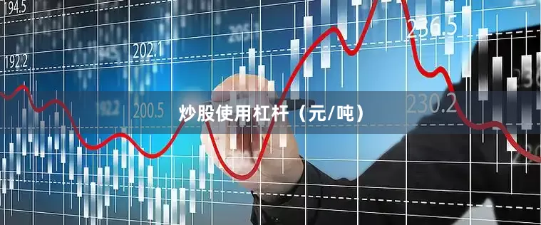 炒股使用杠杆（元/吨）