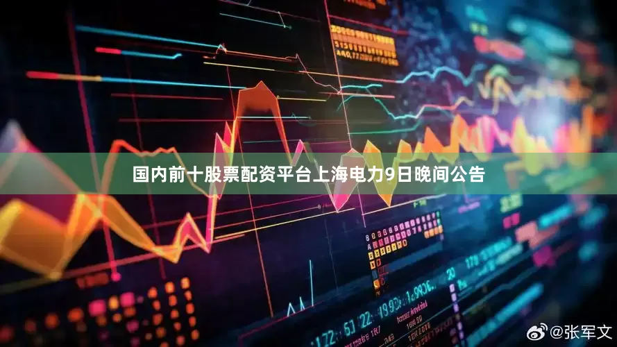国内前十股票配资平台上海电力9日晚间公告