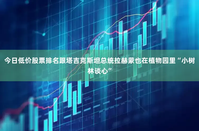 今日低价股票排名跟塔吉克斯坦总统拉赫蒙也在植物园里“小树林谈心”