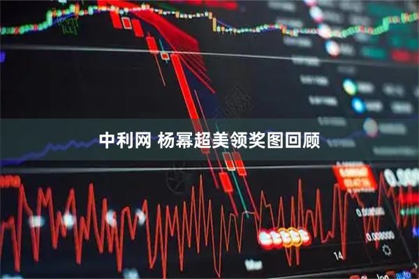 中利网 杨幂超美领奖图回顾