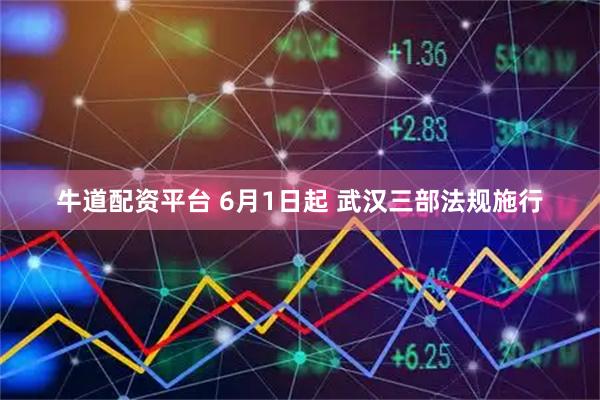 牛道配资平台 6月1日起 武汉三部法规施行