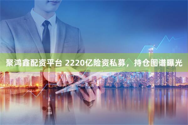 聚鸿鑫配资平台 2220亿险资私募，持仓图谱曝光